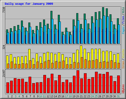 Daily usage for January 2009