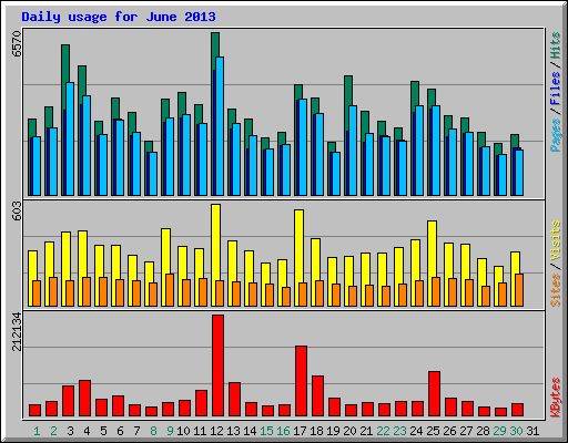 Daily usage for June 2013