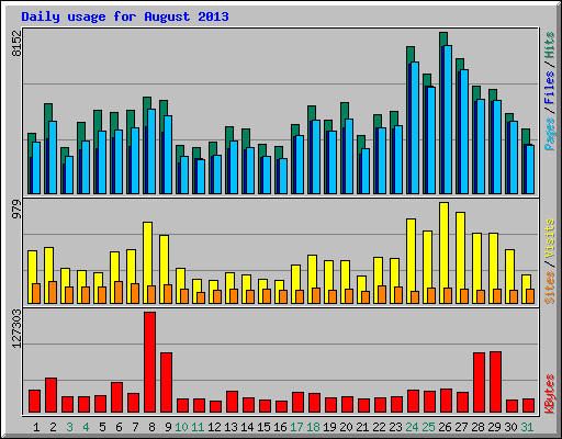 Daily usage for August 2013