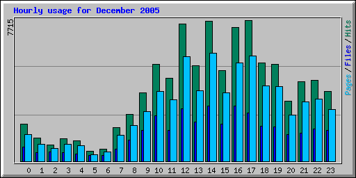 Hourly usage for December 2005