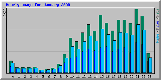 Hourly usage for January 2009