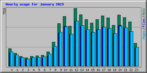 Hourly usage for January 2015