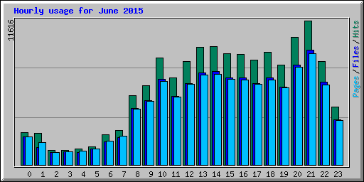 Hourly usage for June 2015