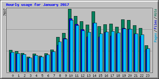 Hourly usage for January 2017