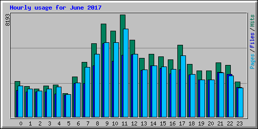 Hourly usage for June 2017