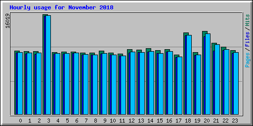 Hourly usage for November 2018