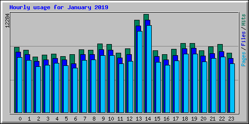 Hourly usage for January 2019