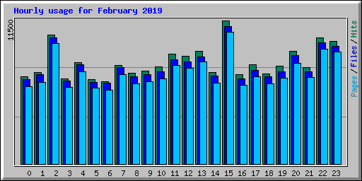 Hourly usage for February 2019