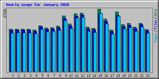 Hourly usage for January 2020