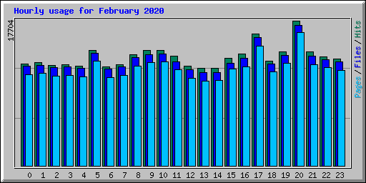 Hourly usage for February 2020