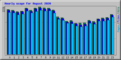 Hourly usage for August 2020